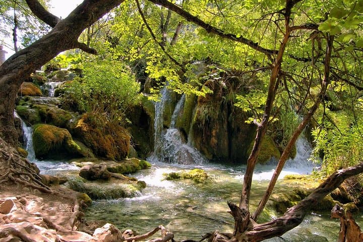 Split to Rijeka via Plitvice Lakes: Private Day Tour through Croatia’s Waterfalls