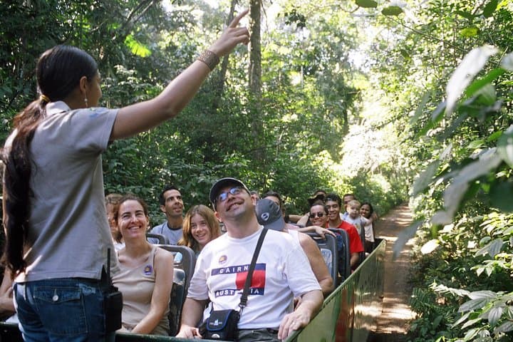 Iguassu Falls Combo: Brazilian-Side Trails, Macuco Safari & Waterfall Boat Ride photo 5
