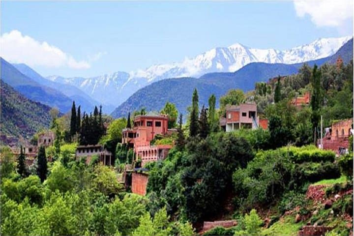 Ourika Valley Day Trip from Marrakech: Waterfalls, Berber Villages & High Atlas Trails photo 3