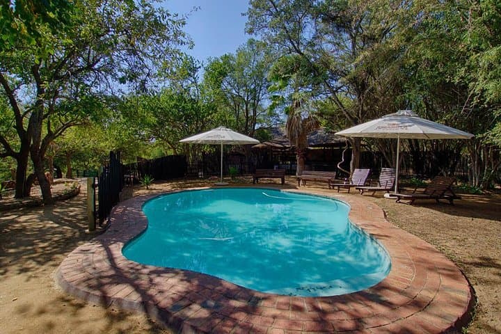 6-Day Budget Kruger Safari: Big Five, Bushwalks & Blyde River Canyon photo 6