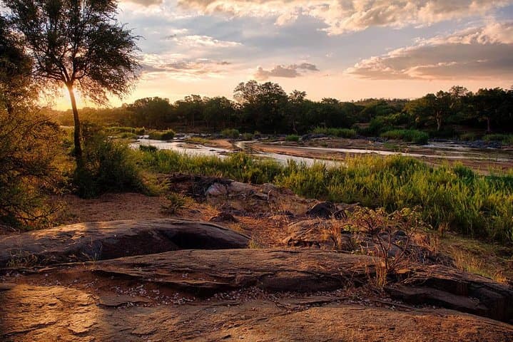 4-Day Kruger Lodge & Treehouse Safari — Balule Big Five Adventure photo 5