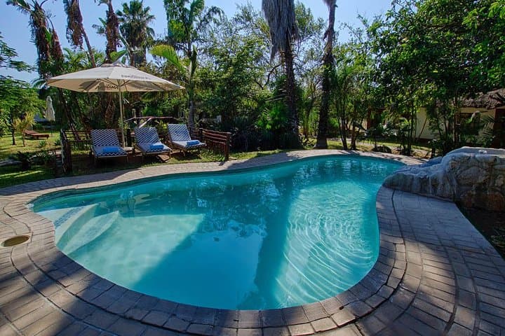 3-Day Classic Kruger Safari: Big Five Drives, Blyde River Canyon & Marula Boma photo 4