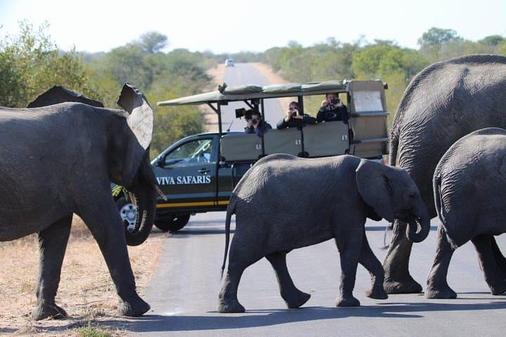 4-Day Classic Kruger National Park Safari — Big Five Game Drives, Bush Walks & Blyde River Canyon