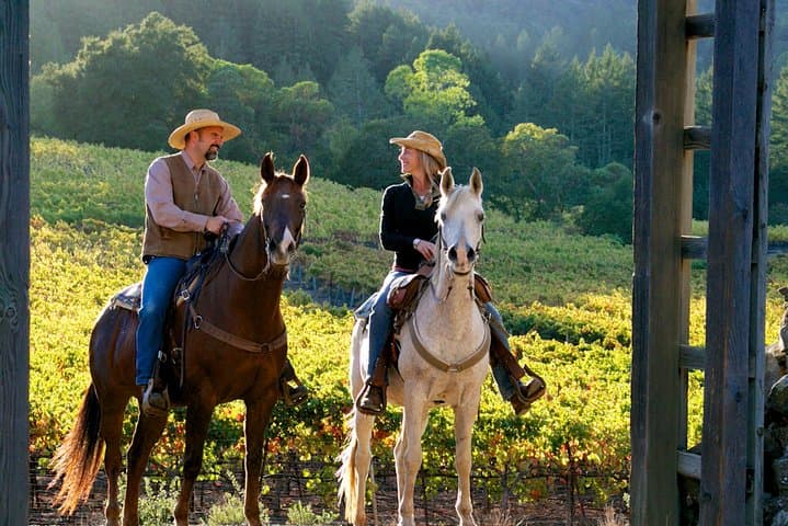 Horseback Riding & Winery Lunch in San Gimignano — Tuscan Vineyard Ride and Tasting photo 3