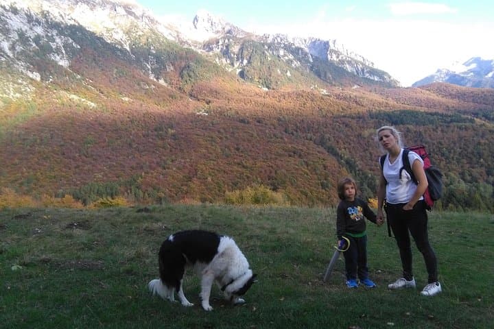 Dolomites Guided Day Hike — Full-Day Trails, Rifugios & Alpine Views photo 4