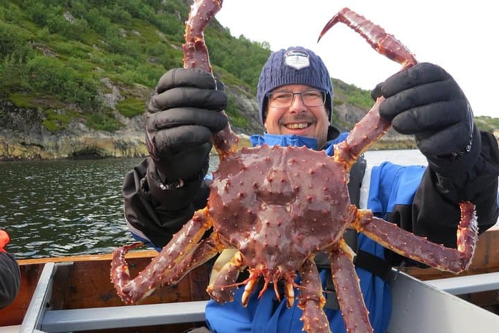 King Crab Safari from Saariselkä to Kirkenes: Full-Day Arctic Fjord Adventure photo 5