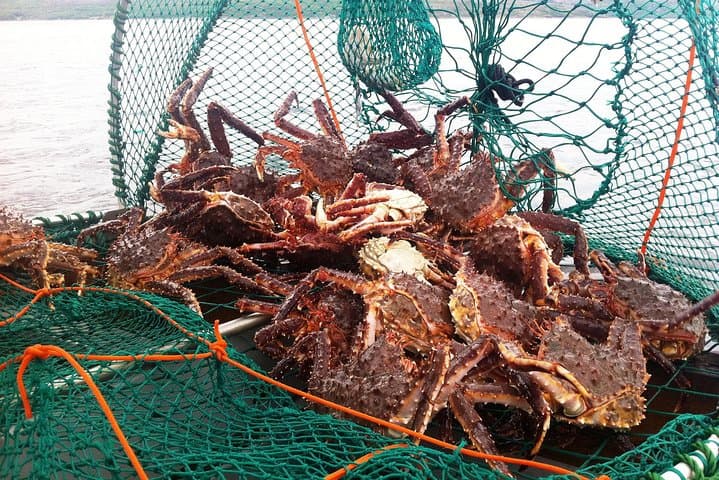 King Crab Safari from Saariselkä to Kirkenes: Full-Day Arctic Fjord Adventure photo 6