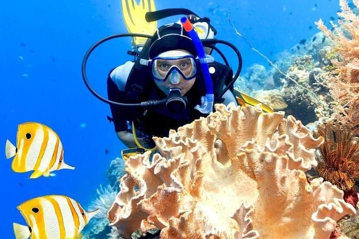 Hurghada 6-Hour Dive Trip: Two Red Sea Sites with Lunch and Hotel Transfers photo 2