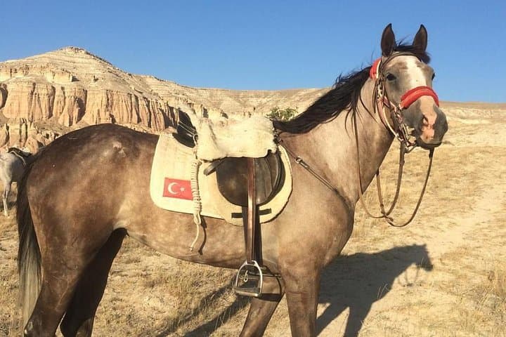 Sunrise Horseback Ride Among Cappadocia's Fairy Chimneys photo 4