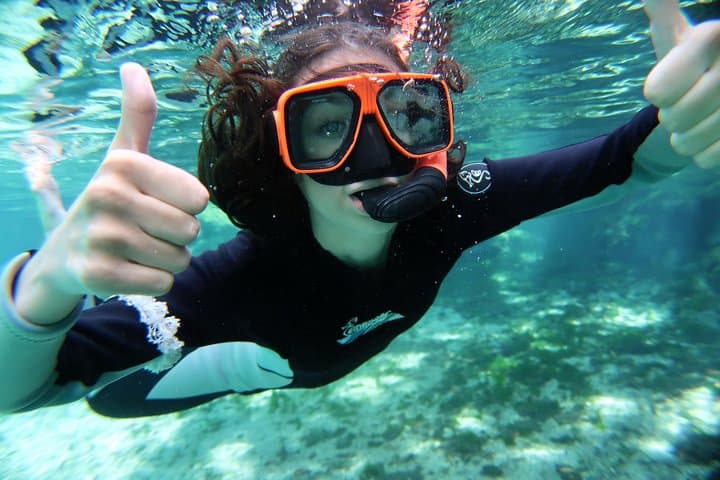 Experience Crystal River's Manatee Snorkel Adventure with Expert Guides photo 5