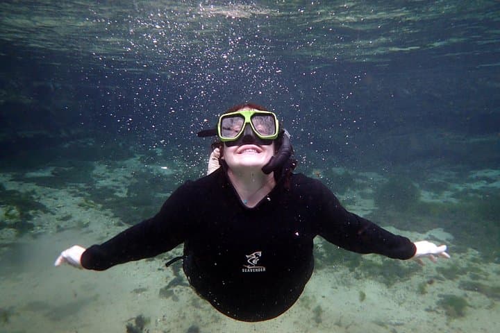 Private Manatee Snorkel Tour in Crystal River — Guided Swim with Gentle Giants photo 6