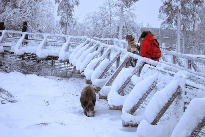 Private Guided Ranua Wildlife Park Tour from Rovaniemi — Arctic Animals & Lunch photo 6