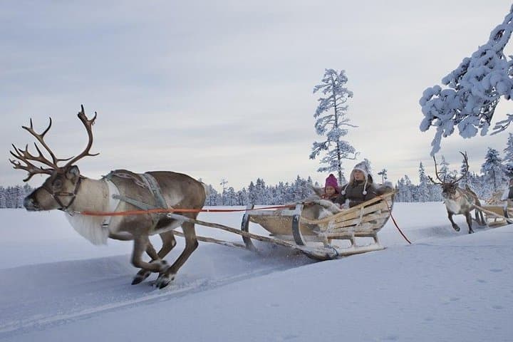 Lapland Reindeer Safari From Saariselkä — 2-Hour Reindeer Sled Ride & Sami Culture photo 3