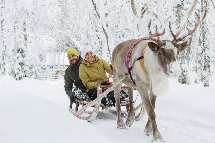 Lapland Reindeer Safari From Saariselkä — 2-Hour Reindeer Sled Ride & Sami Culture photo 4