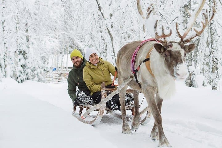 Lapland Reindeer Safari from Rovaniemi: 2-Hour Sled Ride & Reindeer Farm Visit photo 3