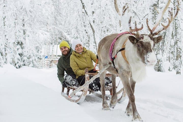 Lapland Reindeer and Husky Safari from Rovaniemi — Reindeer Sled & Husky Ride photo 4
