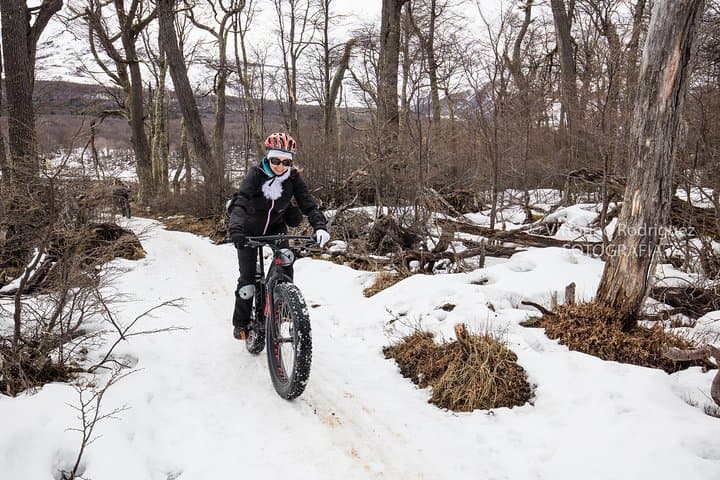 Ushuaia E-Bike & Beaver Ice Tour: Ride Frozen Lakes in Wolf Valley photo 4