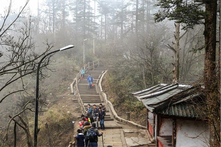 Mount Emei Golden Summit Day Trip from Chengdu by High-Speed Train photo 4