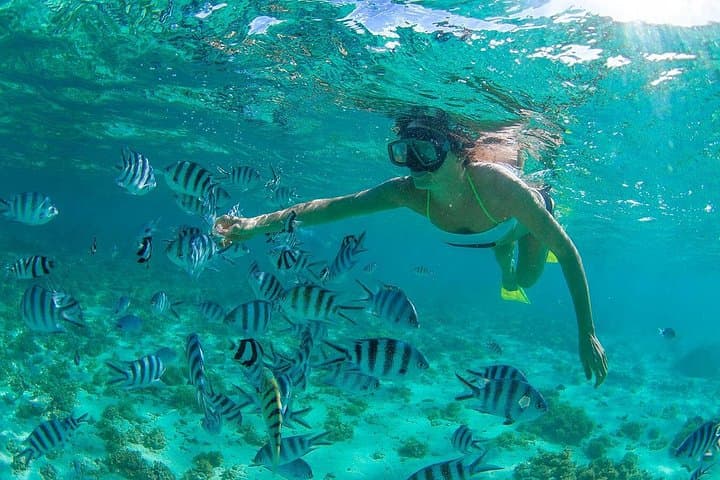 Snorkel Cabo Pulmo: Day Trip to Cousteau’s 'Natural Aquarium' from Cabo San Lucas photo 2