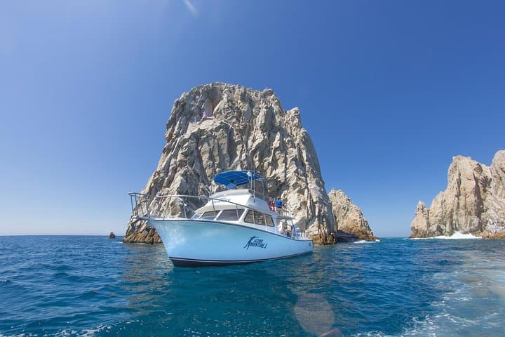 Learn to Scuba Dive in Cabo San Lucas: PADI Beginner Experience at El Arco photo 5