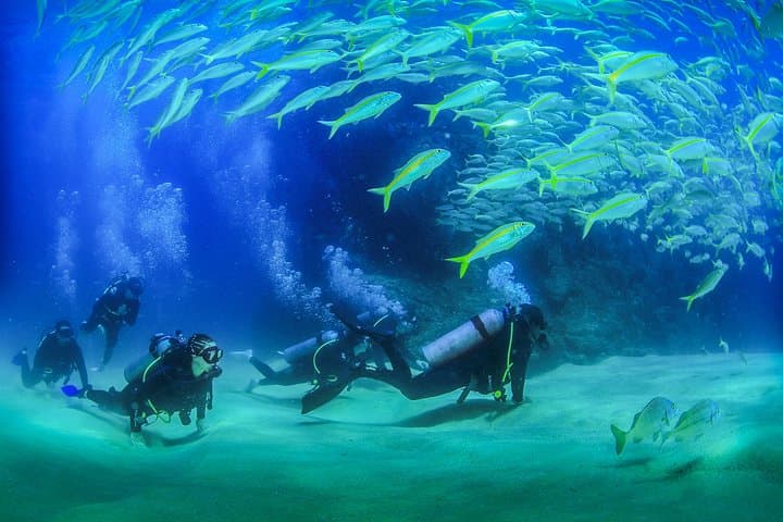 Learn to Scuba Dive in Cabo San Lucas: PADI Beginner Experience at El Arco photo 2