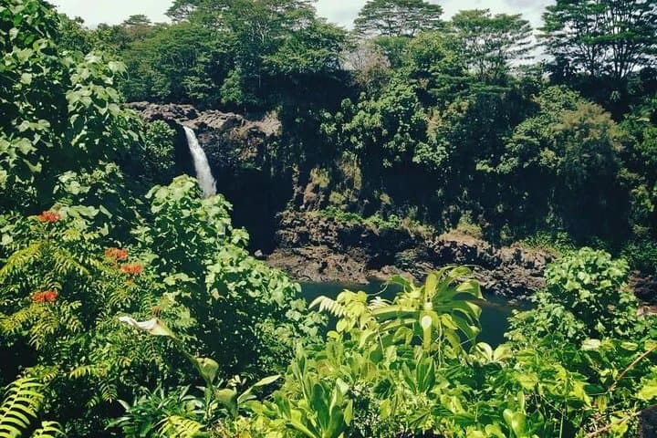 Explore Hawaii’s Volcanoes National Park: A Dynamic Hilo Shore Adventure photo 5