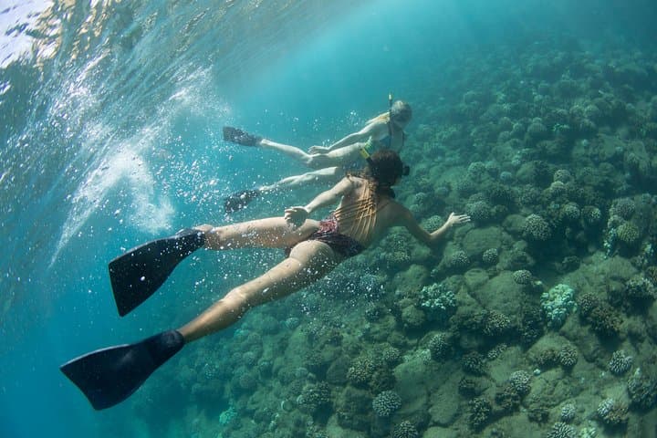 Sail and Snorkel the Na Pali Coast: Catamaran Adventure from Port Allen photo 5