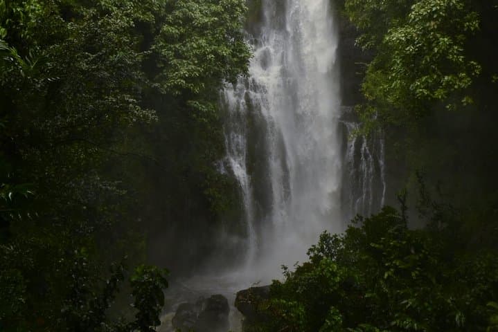 Road to Hana Day Tour from Lahaina — Pickup, Breakfast & Lunch Included photo 4