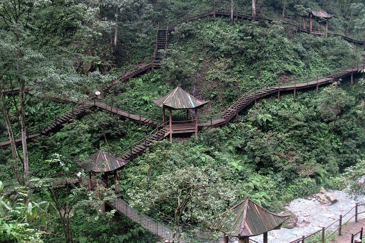 Mount Emei Golden Summit & Leshan Giant Buddha: 2-Day Sunrise Train Tour from Chengdu photo 6