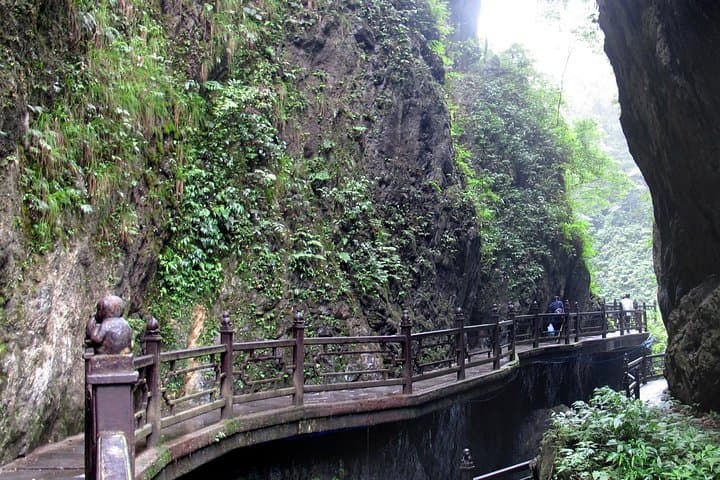 Mount Emei Golden Summit & Leshan Giant Buddha: 2-Day Sunrise Train Tour from Chengdu photo 5