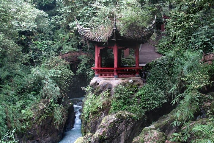 Mount Emei Golden Summit & Leshan Giant Buddha: 2-Day Sunrise Train Tour from Chengdu