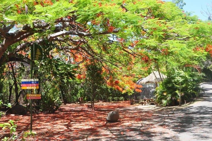 Explore Nouméa's Zoological and Forestry Park: Native Wildlife, Dry Forest & Bay Views photo 2