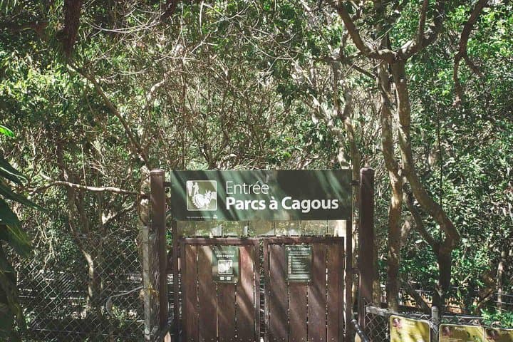 Explore Nouméa's Zoological and Forestry Park: Native Wildlife, Dry Forest & Bay Views photo 5