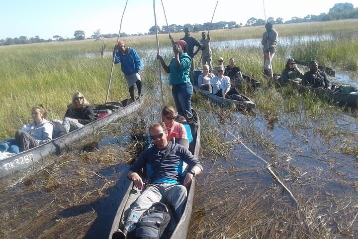 7-Day Okavango & Moremi Safari: Delta Camping, Mokoro Trips & Chobe Game Drives