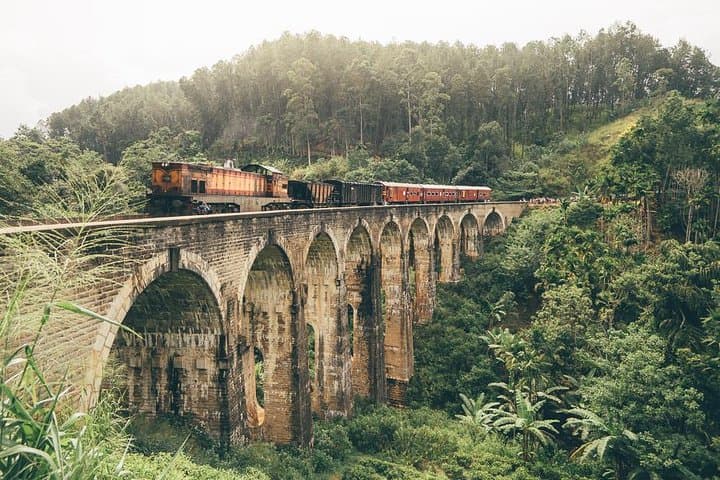 12-Day Sri Lanka Private Tour — Explore, Relax & Rejuvenate: Culture, Tea Country & Safari