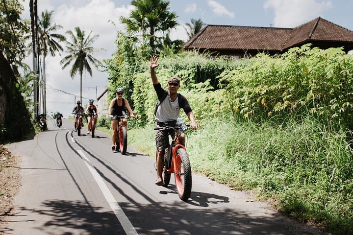 Electric Fat-Tire E-Bike Tour Through Ubud Rice Fields photo 5