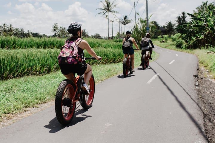 Electric Fat-Tire E-Bike Tour Through Ubud Rice Fields photo 6