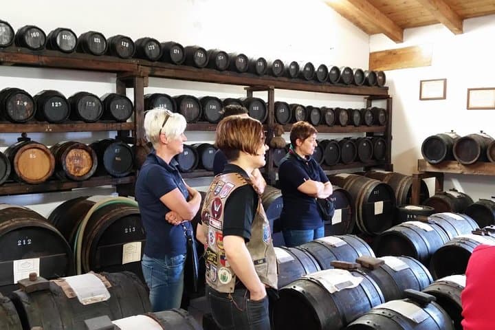 Emilia Food Excellence: Parmesan, Wine & Traditional Balsamic Tasting Day from Modena photo 4