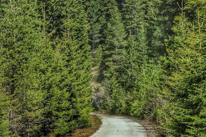 Black Lake and Djurdjevica Tara Bridge Day Tour — Durmitor Adventures from Žabljak photo 3