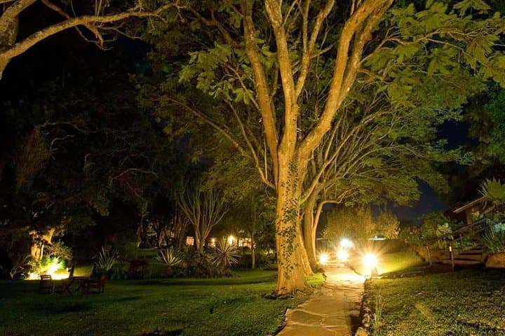 3-Day Aberdares: Cloud-Forest Game Drives & Ark Lodge Wildlife Viewing photo 4