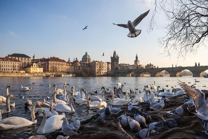 Capture Prague: Private 3-Hour City Landmarks Photowalk photo 6