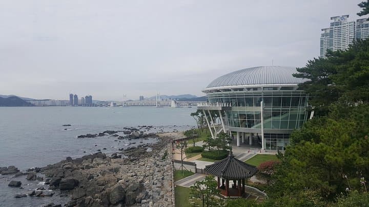 Busan Day Trip by KTX: Haeundae, Jagalchi Market & Gamcheon in One Day photo 3