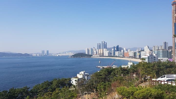 Busan Day Trip by KTX: Haeundae, Jagalchi Market & Gamcheon in One Day photo 4