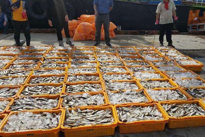 Busan Day Trip by KTX: Haeundae, Jagalchi Market & Gamcheon in One Day photo 5