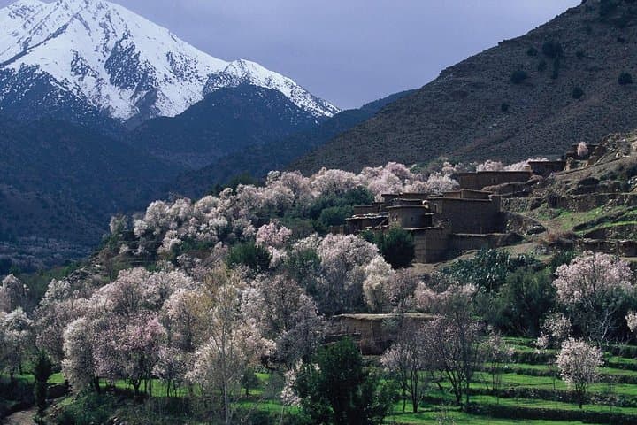 Anima Gardens and Ourika Valley Day Trip from Marrakech photo 6