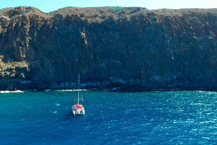 Tenerife Eco-Catamaran Whale Watching: Listen, Swim, Taste the Atlantic photo 3