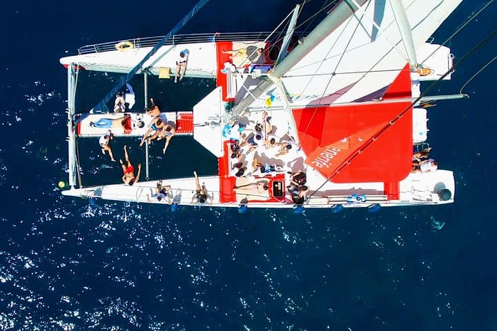 Tenerife Eco-Catamaran Whale Watching: Listen, Swim, Taste the Atlantic photo 5