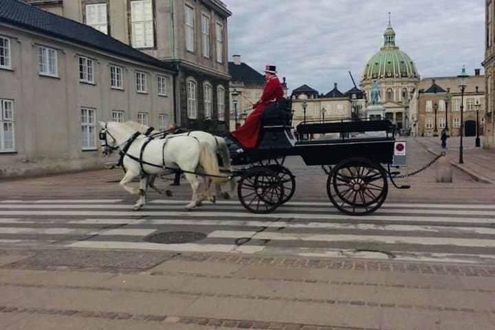 Copenhagen Walking Tour: Smorrebrød & Nyhavn Food Tasting Experience photo 3