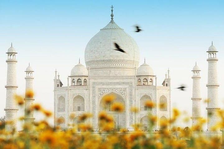 Luxury Golden Triangle Tour with Jodhpur — 7-Day Cultural & Heritage Journey photo 3