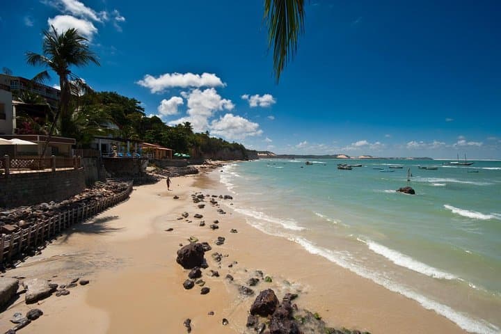 Pipa Beach Day Trip from Natal: Dolphins, Cliffs and Atlantic Forest photo 3
